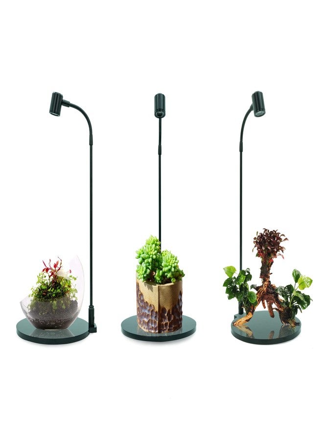 HIRO Aquatics MINI Terrarium Aquarium Black Spotlight for Potted Plants, Betta Fishes, Bottle Jars, Displays, Indoor Plant, Succulents, Air Plants - Image 5
